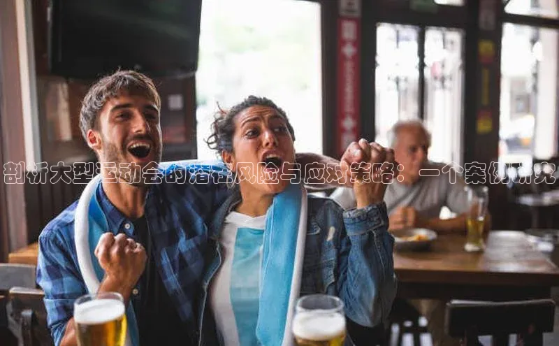 剖析大型运动会的潜在风险与应对策略：一个案例研究