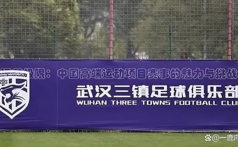 逐梦极限：中国高端运动项目赛事的魅力与挑战