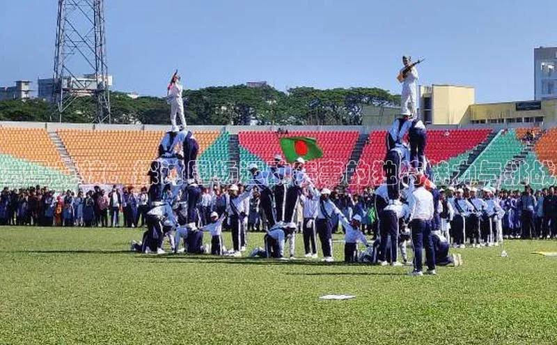 赛马竞技：探讨围场运动赛事的独特魅力与挑战