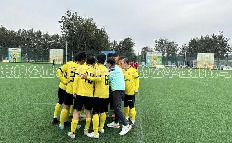 竞技公正：运动赛事中的公平性挑战与