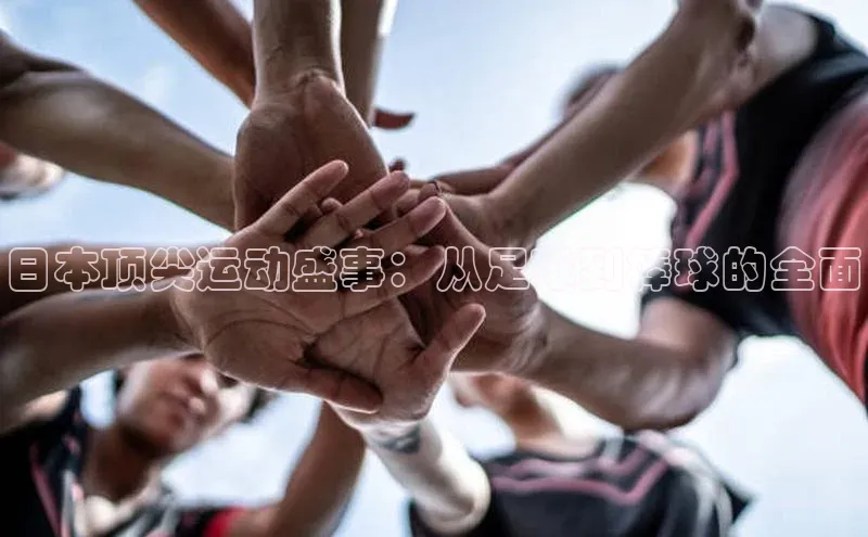 日本顶尖运动盛事：从足球到棒球的全面
